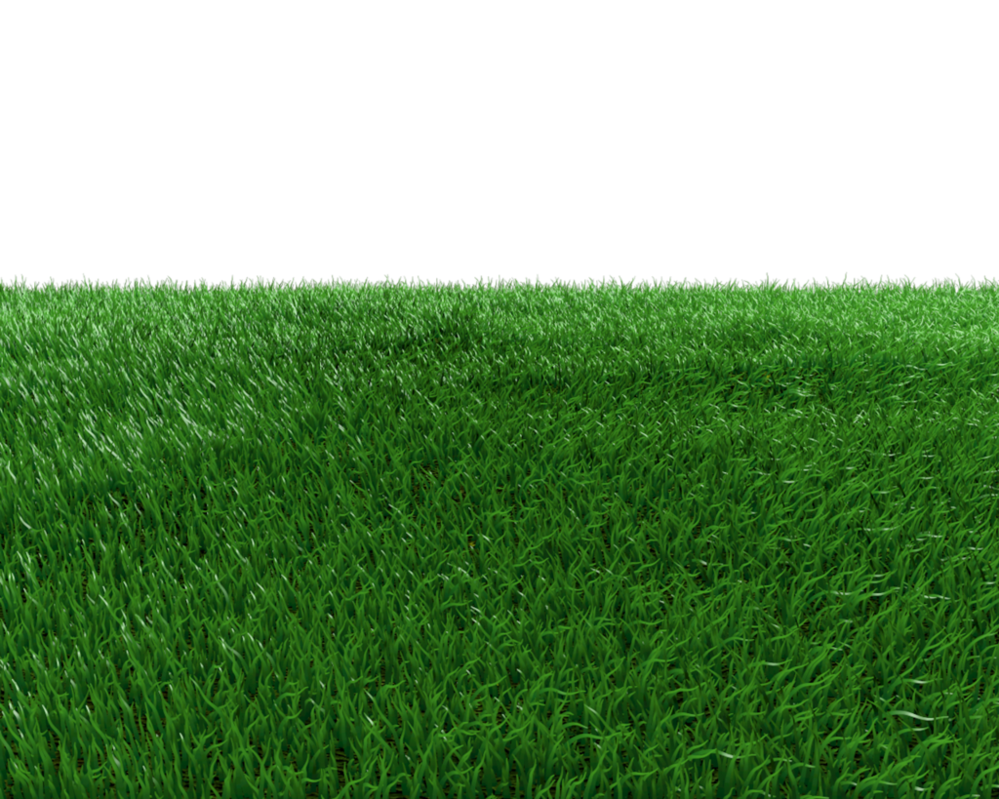 Eco-friendly artificial grass